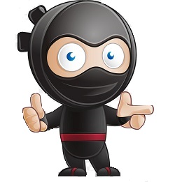 System Ninja Pro 4.0.1 free instals